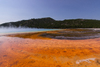 Yellowstone Grand Prismatic Springs